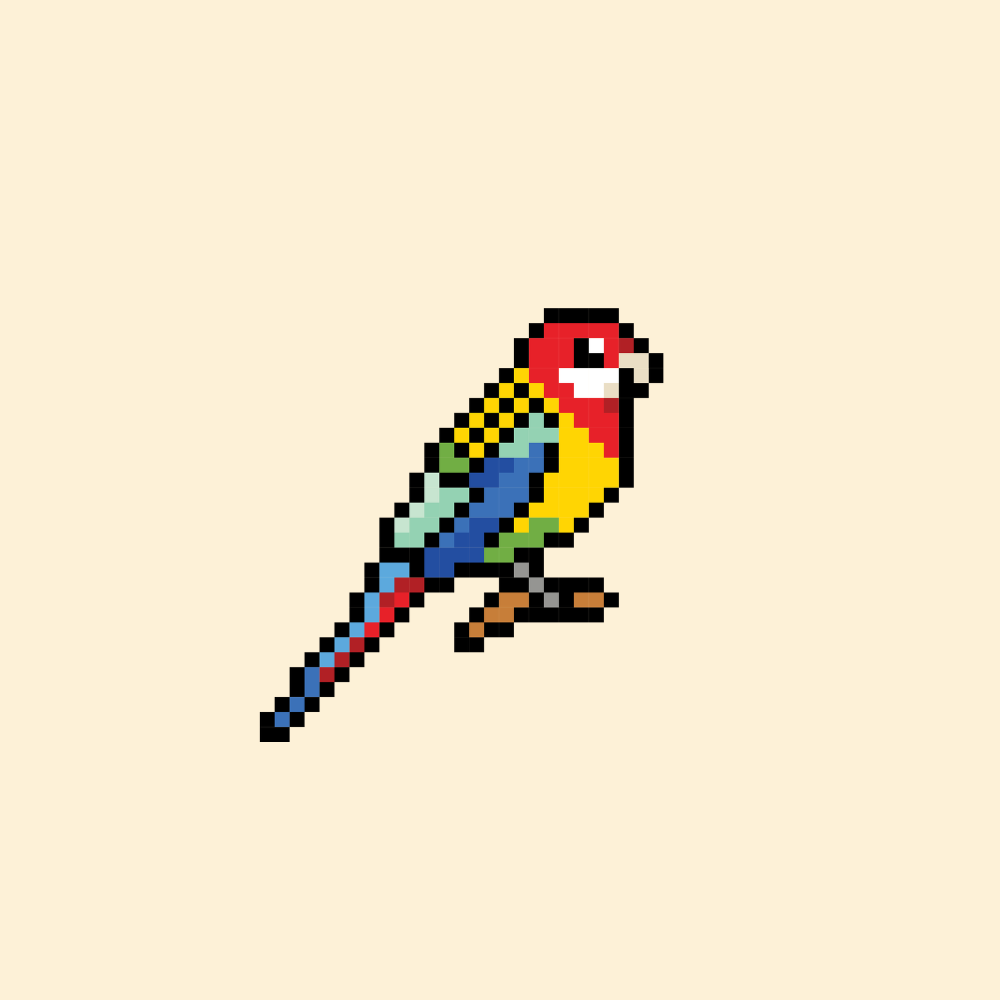 Miles Phillips - Eastern Rosellas - World Exclusive 7" Vinyl