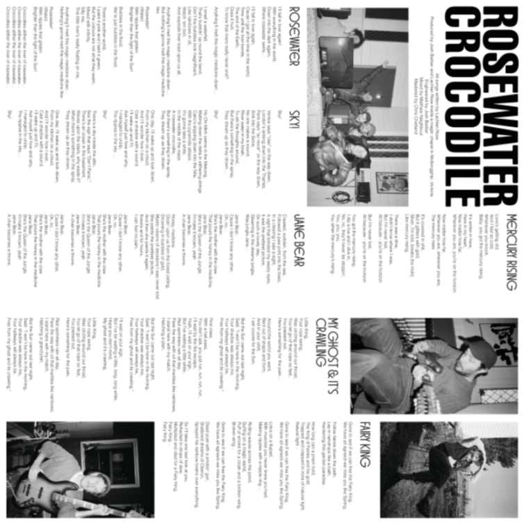 Cousin Tony's Brand New Firebird - Rosewater Crocodile Exclusive Vinyl LP