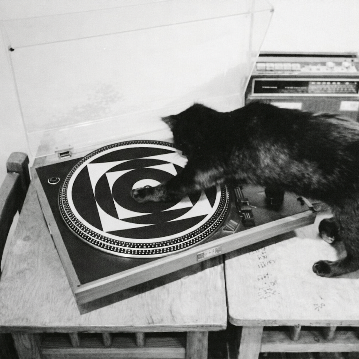 IMPRESSED FELT SLIPMAT