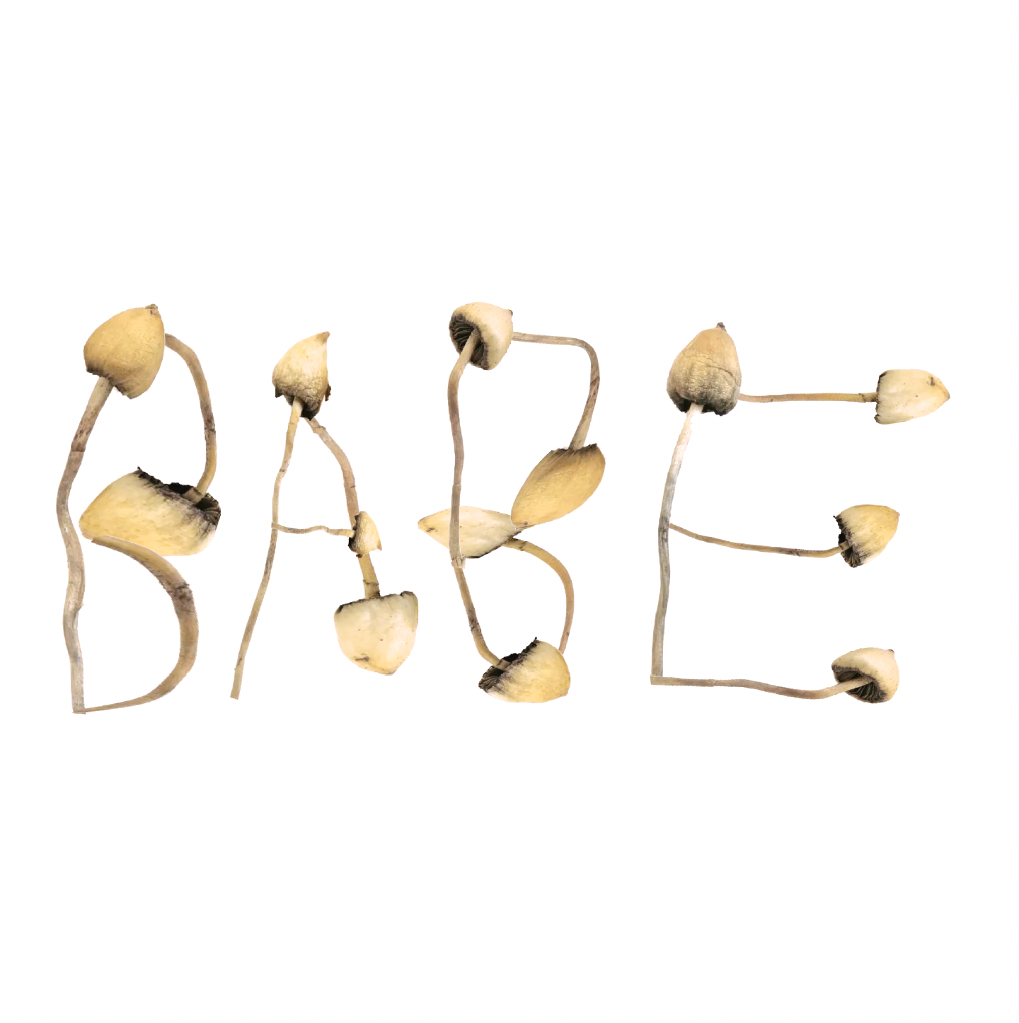 Babe Rainbow - Mushroom EP